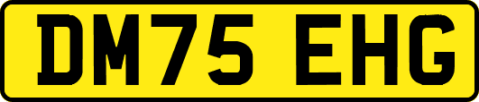 DM75EHG