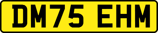 DM75EHM