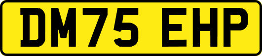 DM75EHP
