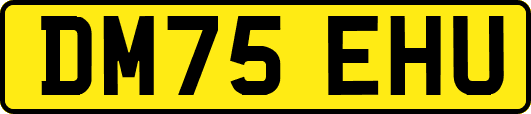 DM75EHU