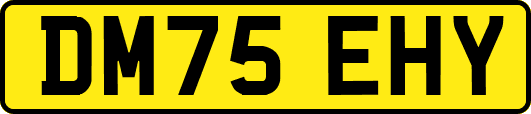 DM75EHY