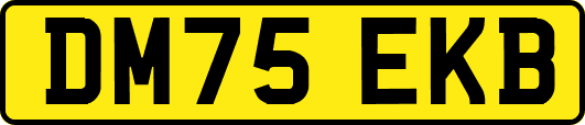 DM75EKB