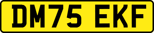 DM75EKF