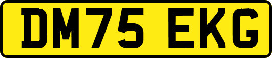 DM75EKG