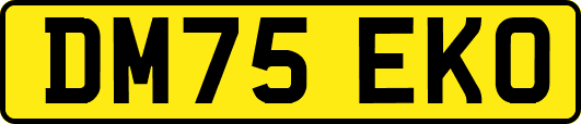 DM75EKO