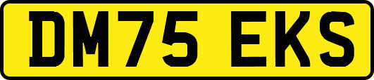 DM75EKS