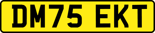 DM75EKT