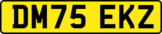 DM75EKZ