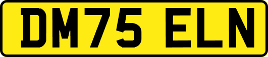 DM75ELN