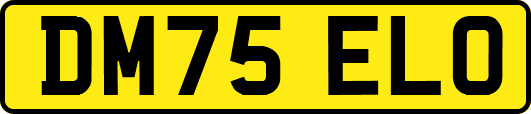 DM75ELO
