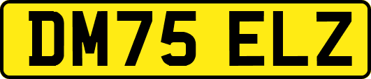 DM75ELZ