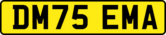 DM75EMA