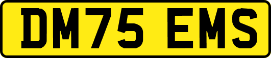 DM75EMS