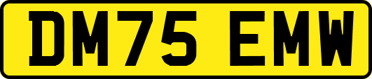 DM75EMW