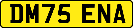 DM75ENA