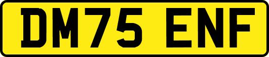 DM75ENF