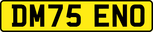 DM75ENO