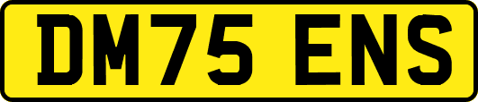 DM75ENS