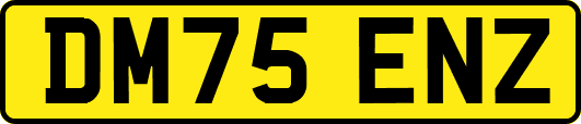 DM75ENZ