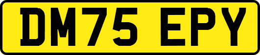 DM75EPY