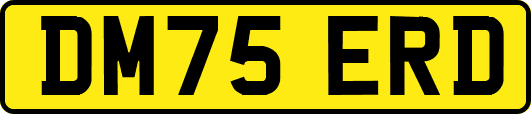 DM75ERD