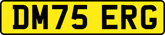 DM75ERG