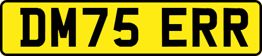 DM75ERR