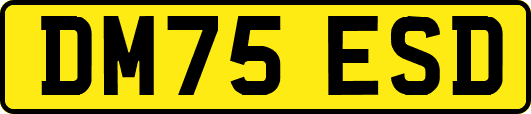 DM75ESD