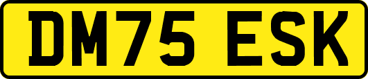 DM75ESK