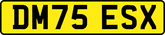 DM75ESX