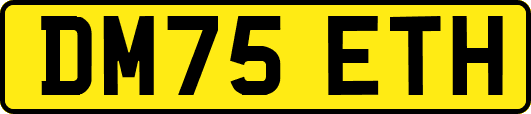 DM75ETH