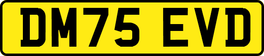 DM75EVD