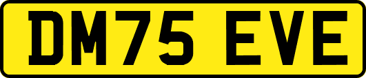 DM75EVE