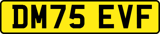 DM75EVF