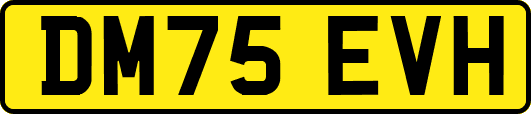 DM75EVH