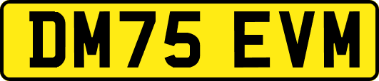 DM75EVM