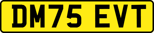 DM75EVT