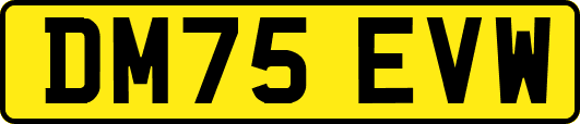 DM75EVW