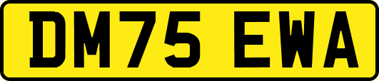 DM75EWA