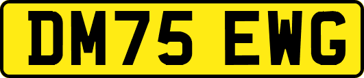 DM75EWG