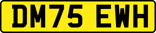DM75EWH