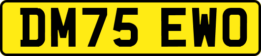 DM75EWO