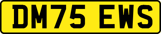DM75EWS