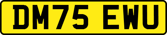 DM75EWU