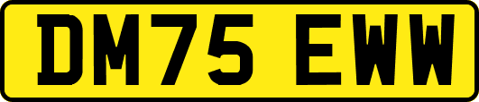 DM75EWW