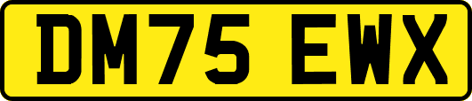 DM75EWX
