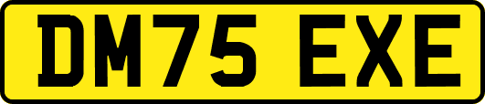 DM75EXE
