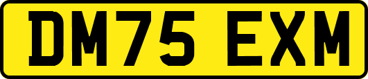 DM75EXM