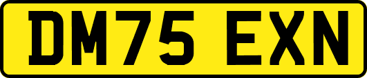 DM75EXN