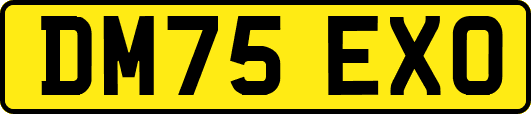 DM75EXO
